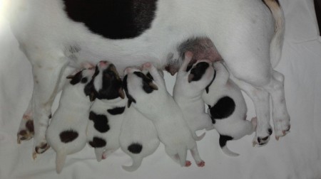 ...d-a lassen wir uns d-urch nichts & niemand stören :-)